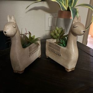 Cute Llama decor